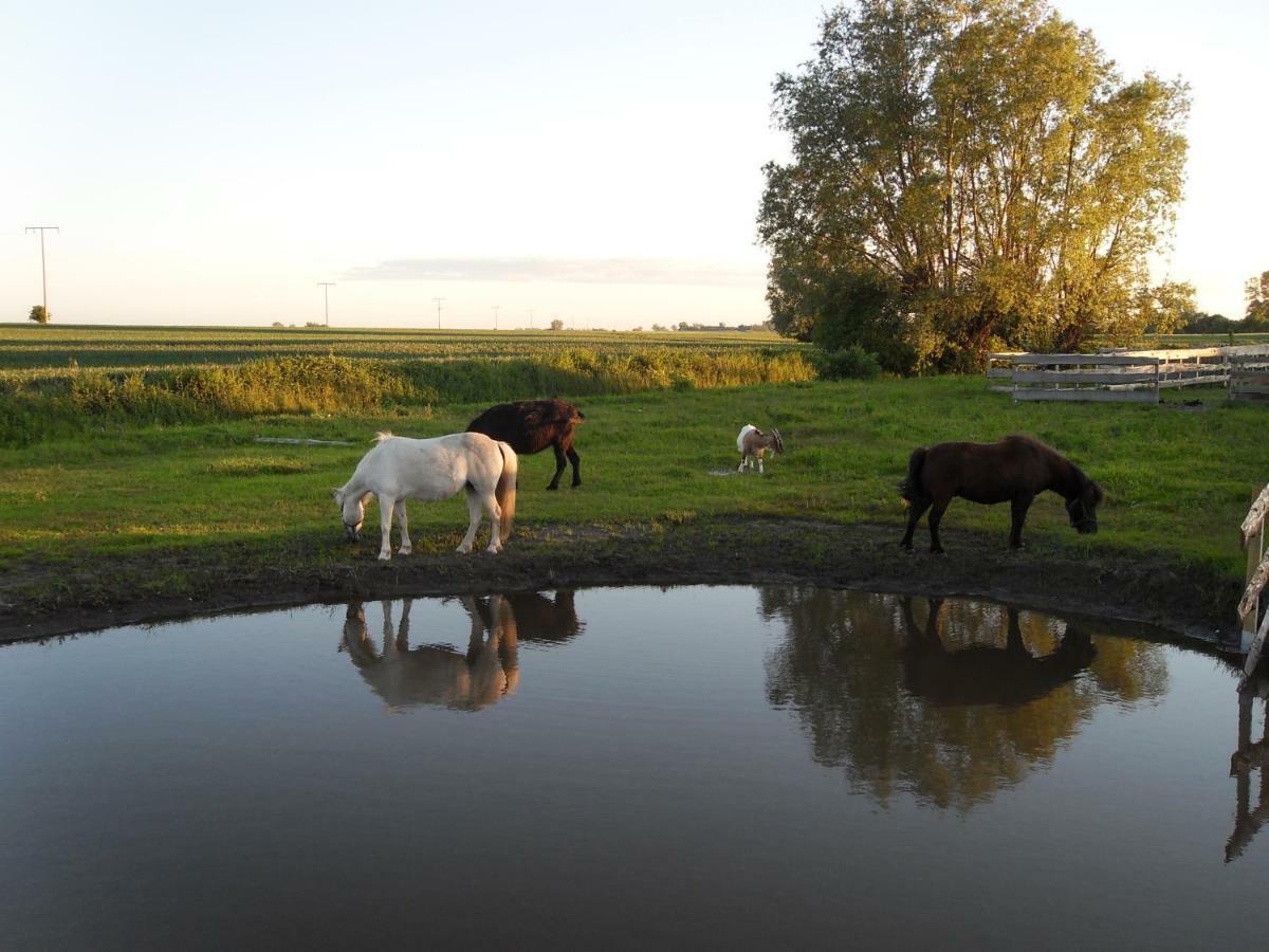 Horse Lake Ranch 诺因多夫 外观 照片